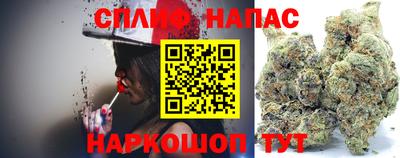 гашик Обнинск