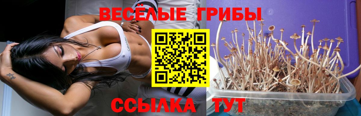 Псилоцибиновые грибы GOLDEN TEACHER Усинск